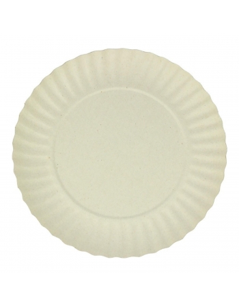 PRATO DE PAPELAO N.3 C/100 - 17CM