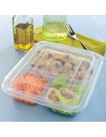 Pote Retangular 3 Divisórias com Tampa Acoplada 810mL (G-323) - GALVANOTEK